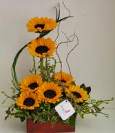 Sunflowers Love Garden Love Arrangement