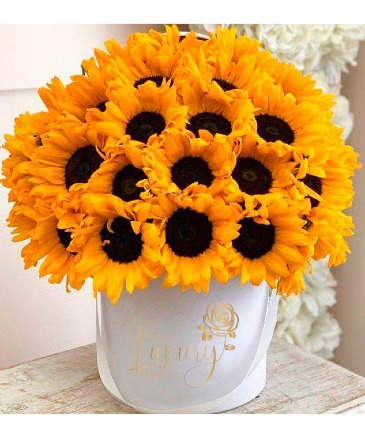 Sunflowers Power Luxury in Matthews, NC | Luxury Flowers