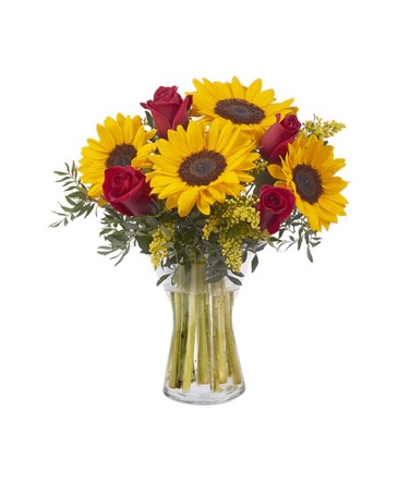 Sunflowers & Red Roses Sunflowers Florist in Forked River, NJ | SUNFLOWERS FLORIST Sunflowers & Red Roses Sunflowers Florist in Forked River, NJ | SUNFLOWERS FLORIST