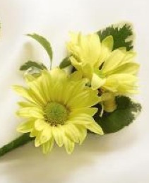 Sunglow Boutonniere