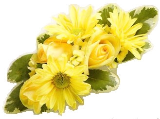 SUNGLOW WRIST CORSAGE