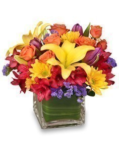 SUN-INFUSED FLOWERS Summer Arrangement
