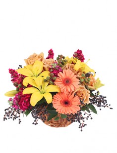 Category Image