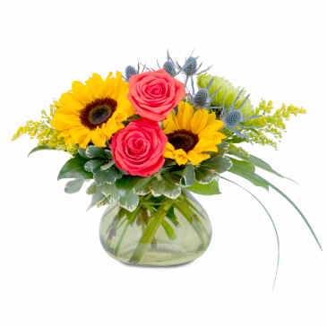 Sunlit Arrangement