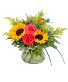 Sunlit Beauty Arrangement