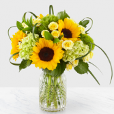 Sunlit Days Designer Vase Arrangement