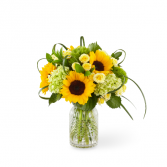 Sunlit Days™ Sunflower Bouquet