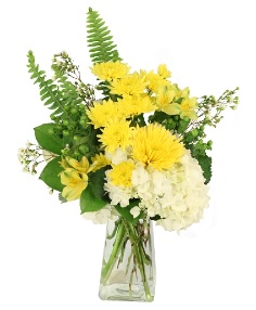 Sunlit Waltz Floral Design