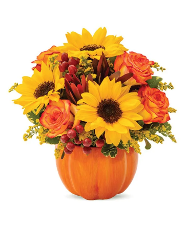 Sunny Autumn Pumpkin Pumpkin Arrangement in Pensacola, FL | Cordova Flowers and Gifts