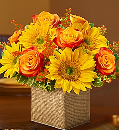 Sunny Autumn Sunflower Bouquet in Fair Lawn, NJ | DIETCH'S FLORIST Sunny Autumn Sunflower Bouquet in Fair Lawn, NJ | DIETCH'S FLORIST