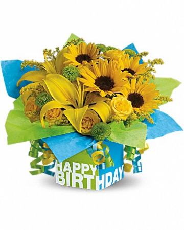 Sunny Birthday Present T27-3