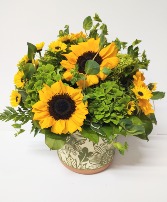 SUNNY BLOOMS 