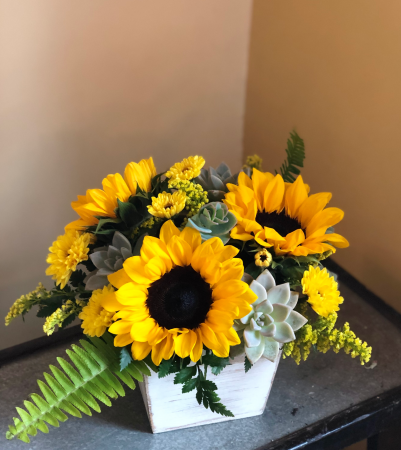 Sunny blooms and succlents Arrangement