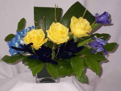 Sunny Blue Babe - New Baby Flowers