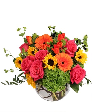 Sunny Citrus Charm Flower Arrangement in Glenwood, IL | Lulas Floral and Gifts