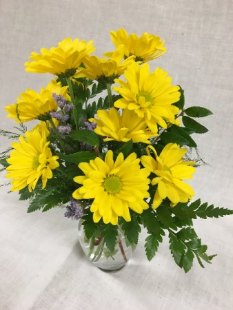 Sunny Daisies Arrangement