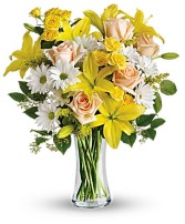 Sunny Daisies  Floral Bouquet
