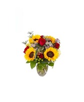 Sunny Day Arrangement 