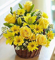 Sunny Day Basket Vibrant Lilies, & More starts at $39.99 in Gainesville, FL | PRANGE'S FLORIST