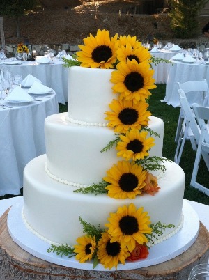 Sunny Day Cake Arrangement