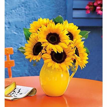 Sunny Day Pitcher