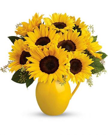 Sunny Day Pitcher