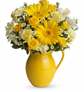 SUNNY DAY PITCHER EVERYDAY