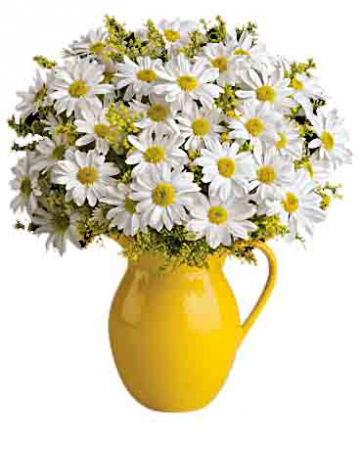 Sunny Day Pitcher of Daisies
