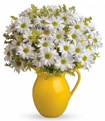 Sunny Day Pitcher of Daisies 