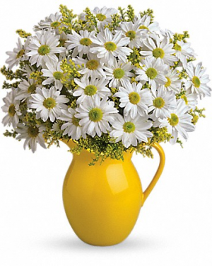 Sunny Day Pitcher of Daisies T139-1 14"(w) x 16"(h)
