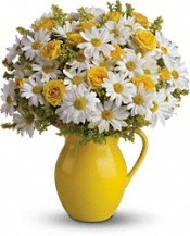 Sunny Day Pitcher of Daisies