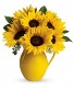 SUNNY DAY PITCHER OF SUNFLOWERS FLOWER ARRANGEMENT