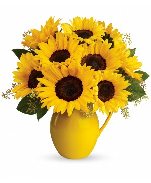 Sunny Day Pitcher of Sunflowers Fresh Arrangement