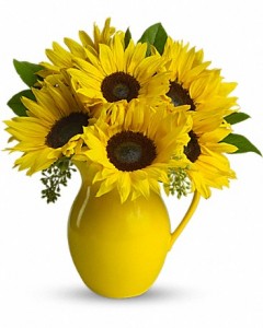Sunny Day  Pitcher of Sunflowers Roma florist 