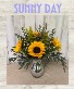 Sunny Day Spring Special