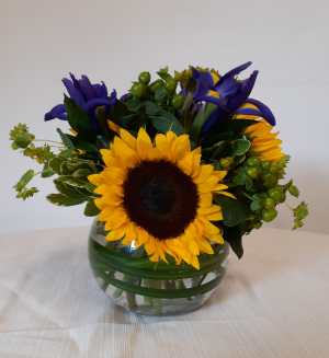 Sunny Days- VAL101 Every Day in East Templeton, MA | Valley Florist & Greenhouse Sunny Days- VAL101 Every Day in East Templeton, MA | Valley Florist & Greenhouse