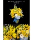 Purchase this funeral home arrangement