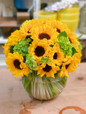 Sunny daytime  Sunflower 