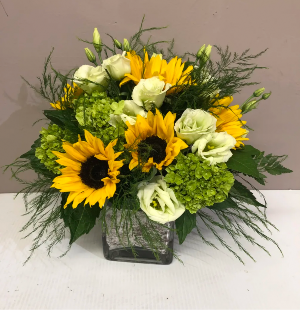 Sunny Dayz Square vase sunflowers arrangement
