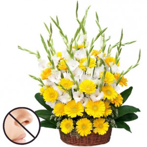 Sunny Delight Sympathy Gift
