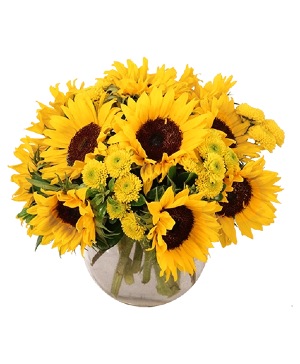 Sunny Escape Flower Arrangement in Gastonia, NC | POOLE'S FLORIST