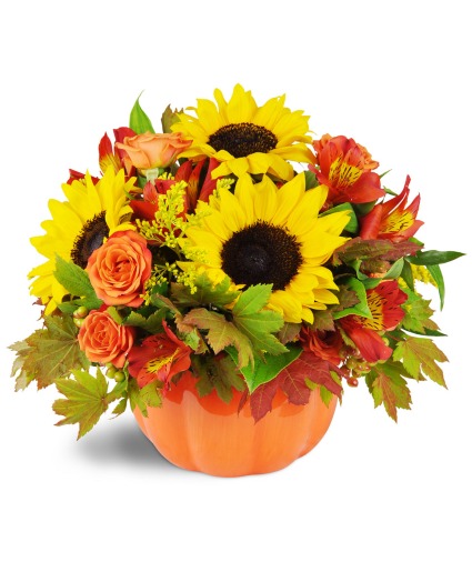 Sunny Fall Pumpkin 
