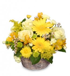 SUNNY FLOWER PATCH in a Basket