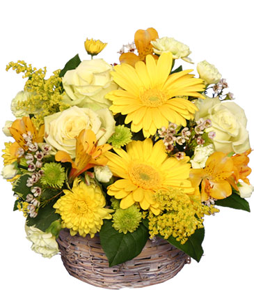 SUNNY FLOWER PATCH in a Basket in Macomb, IL | CANDY LANE FLORAL & GIFTS