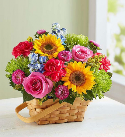 Sunny Garden Basket SUmmer Floower Basket