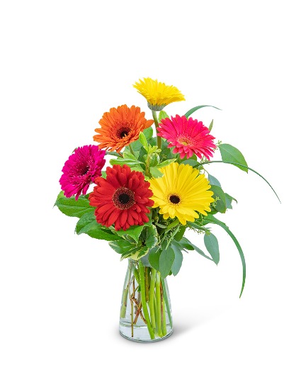 Sunny Gerbera Flower Arrangement