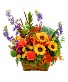 Sunny Harvest Basket All Around Arrangement