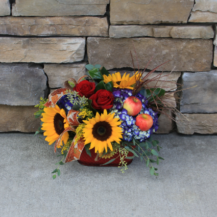 Sunny Harvest Fall Garden Flowers