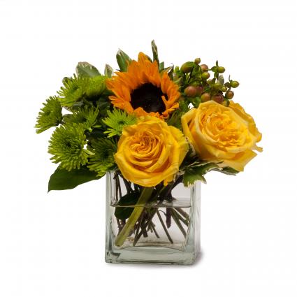 Sunny Limeade Arrangement