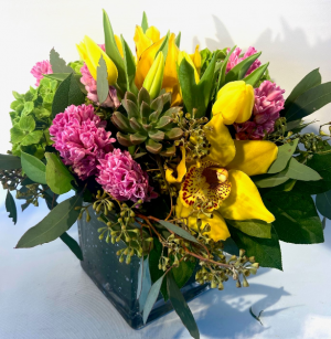 Sunny Paradise in Falls Church, VA | Geno's Flowers Sunny Paradise in Falls Church, VA | Geno's Flowers